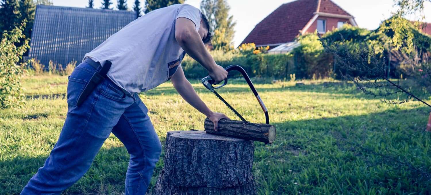 Krafttraining zu Hause