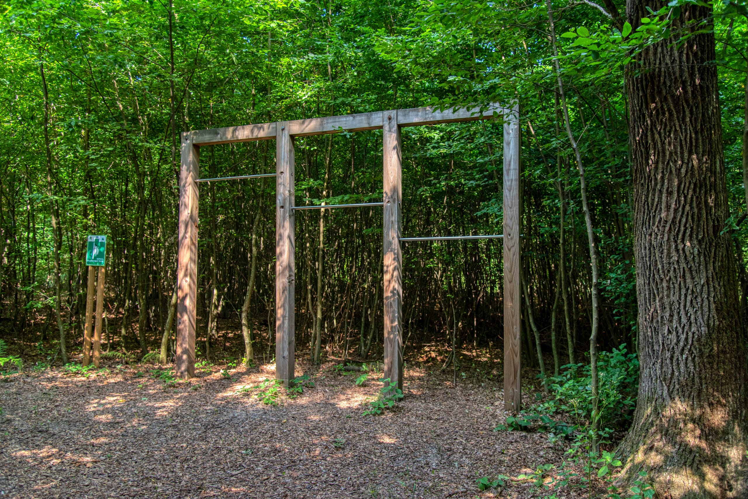 Trimm Dich Pfad im Wald