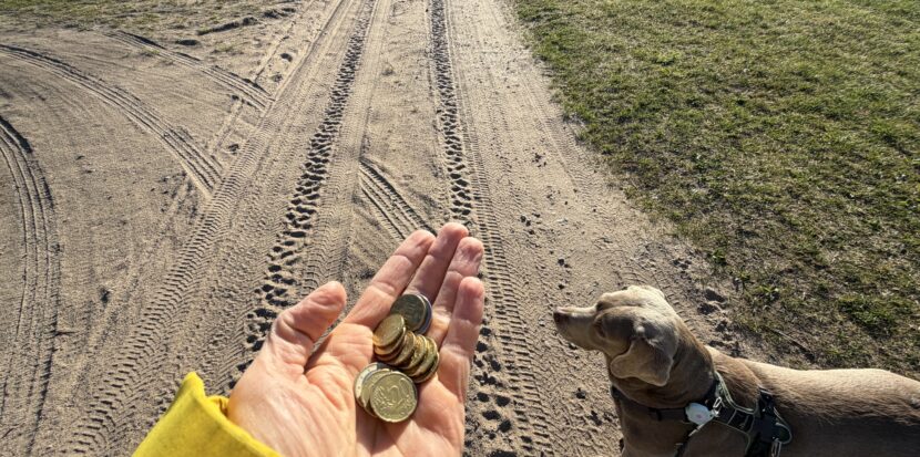 Für Schritte bezahlt werden?
