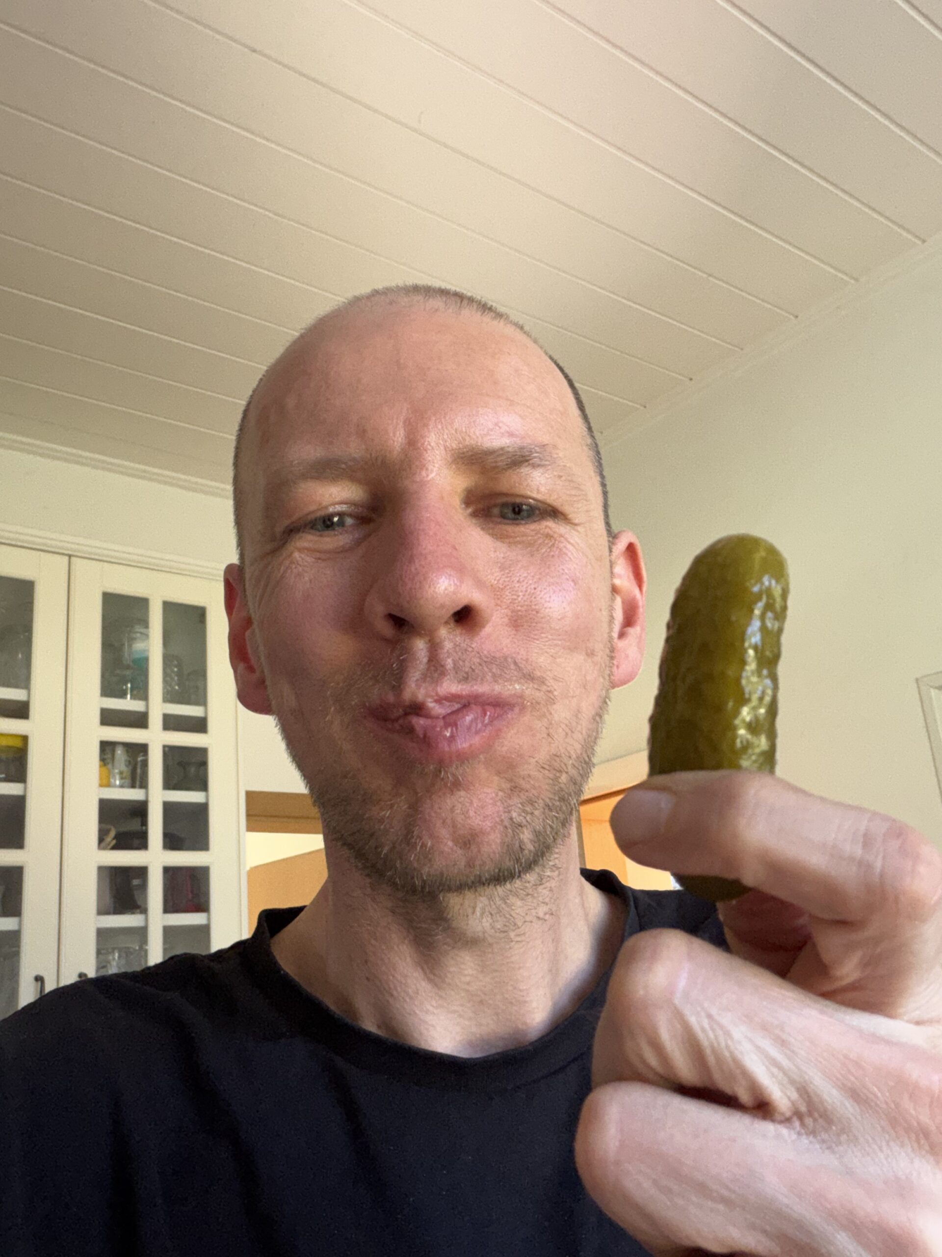 Gewürzgurken sind super lecker