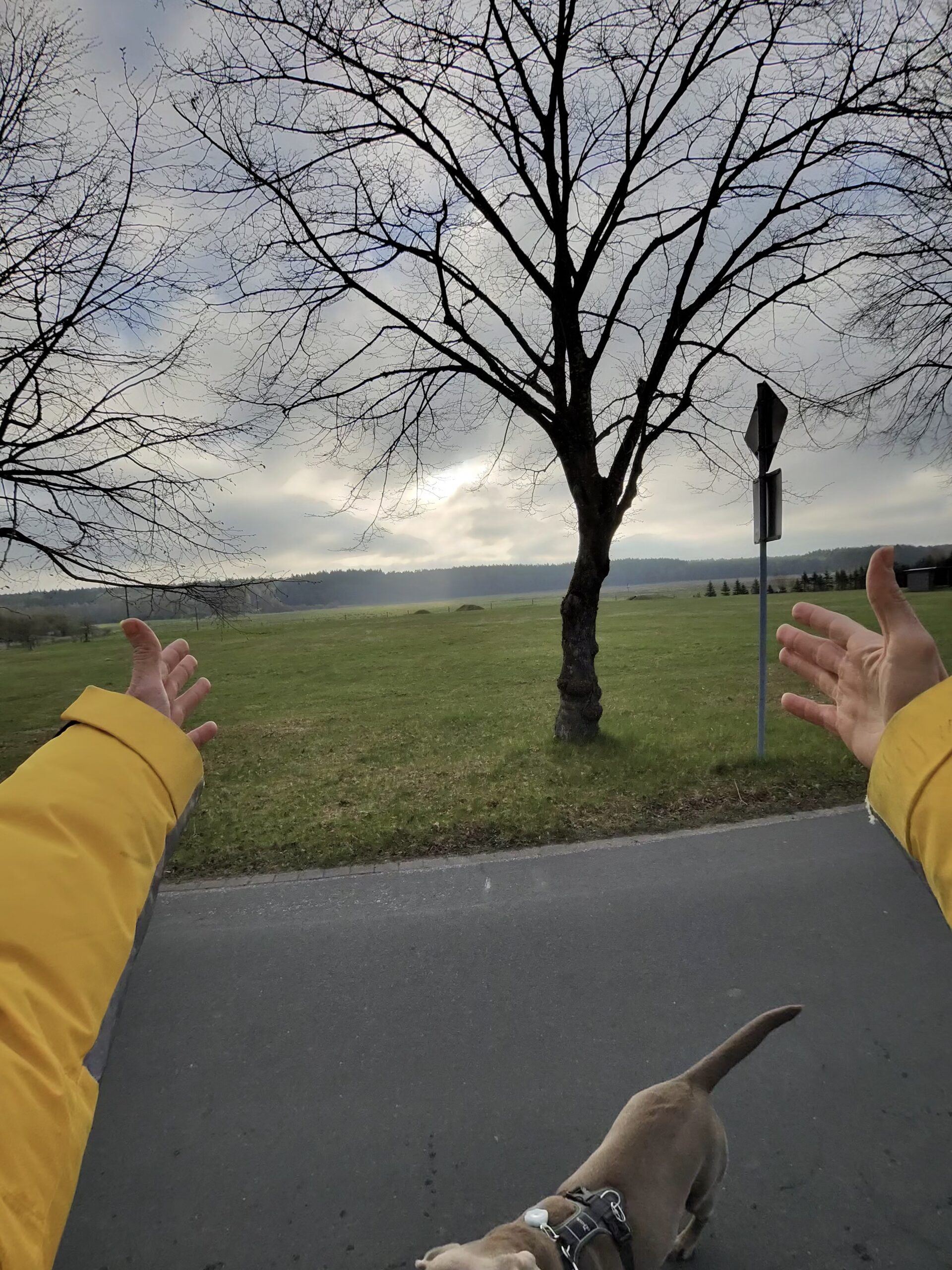 Rucking ist der coole Bruder vom Gehen