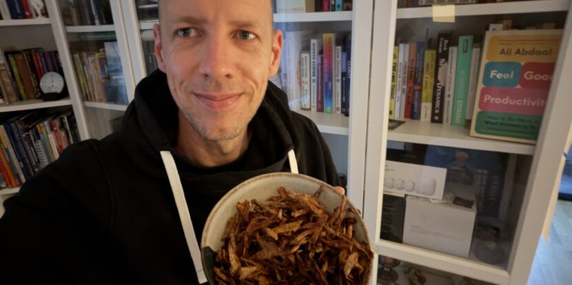 Kartoffelschalen Chips